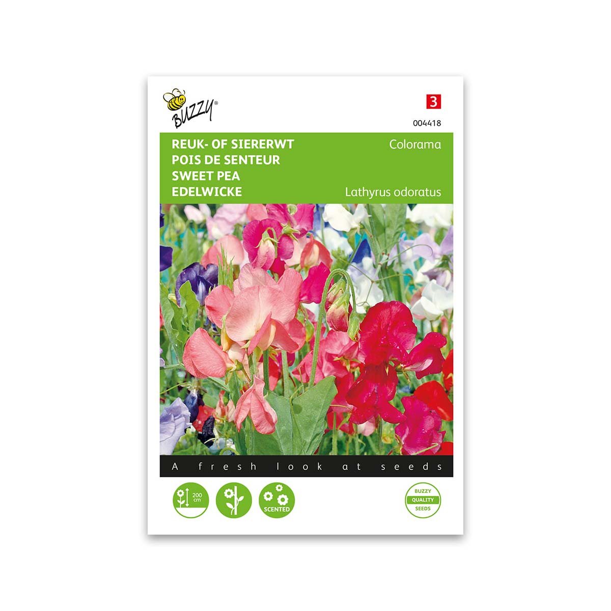 Ærteblomst Frø Colorama Mix – Farverige blomster til haven