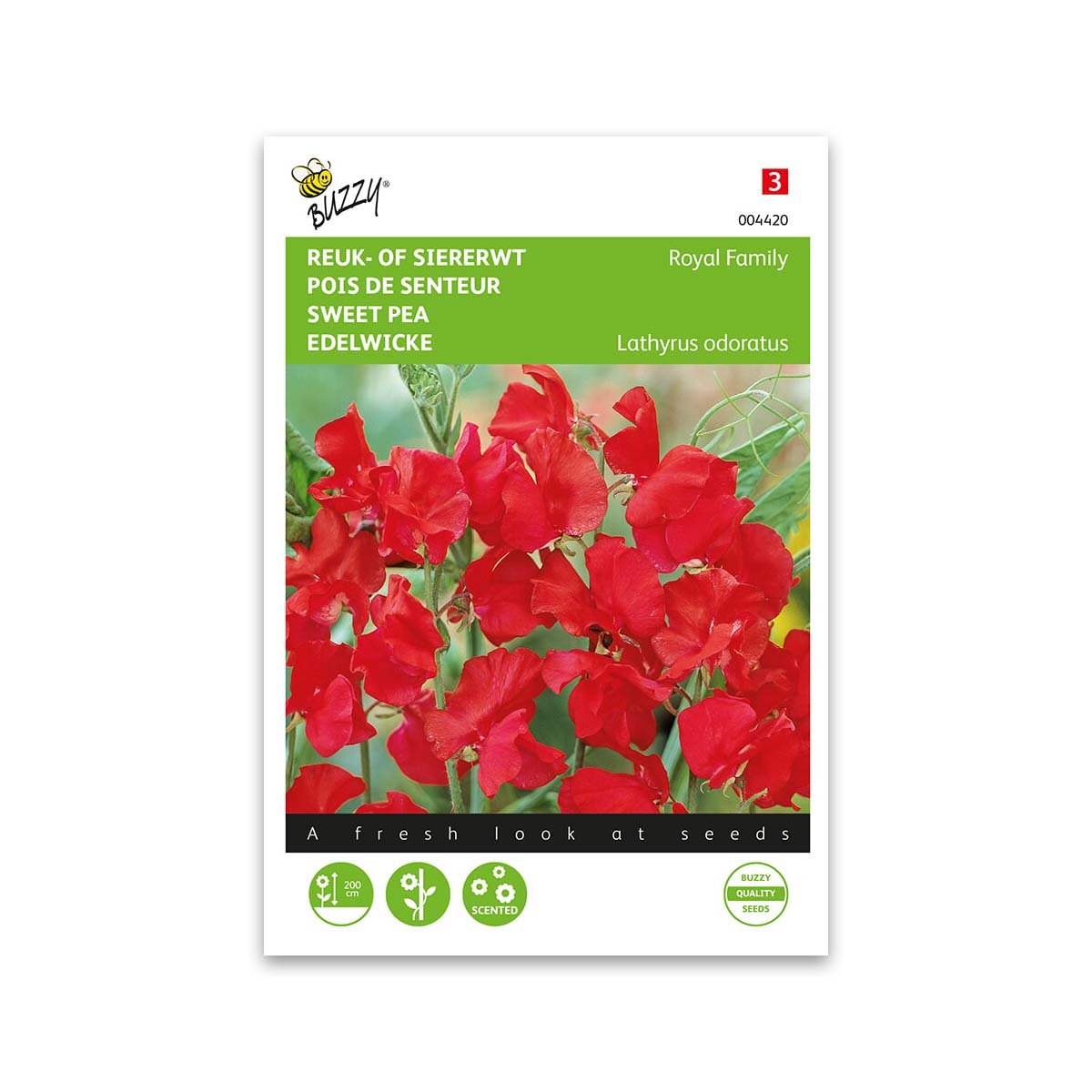 Ærteblomst Frø Royal Family Red – Skønne Røde Blomster