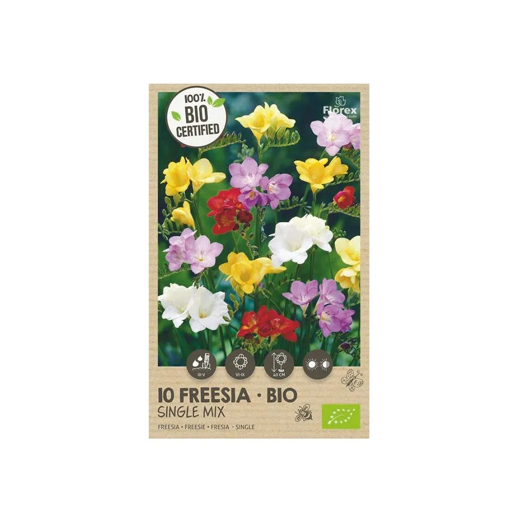 Økologiske Fresia Løg - Single Mix, 10 Stk. til Haven