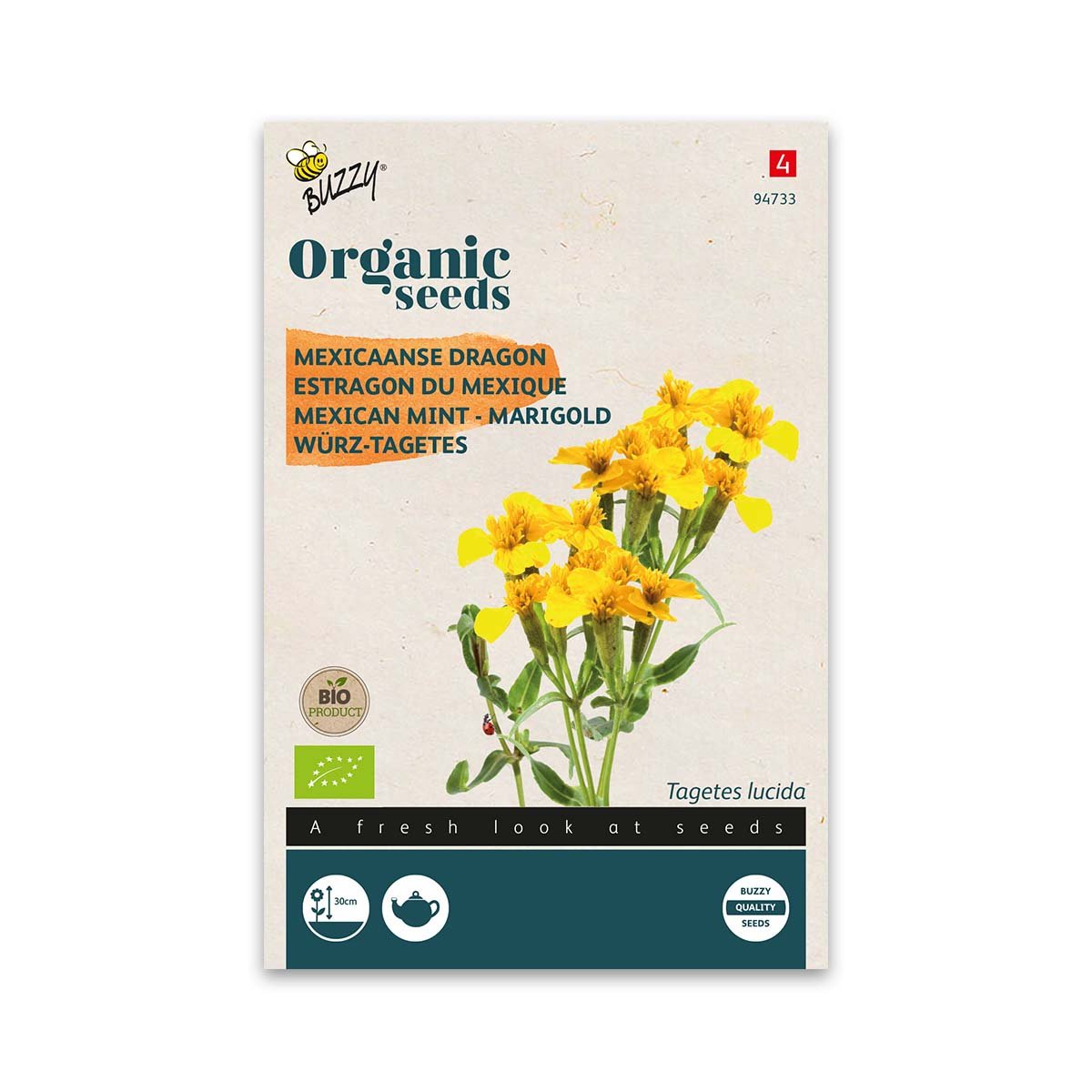 Økologiske Lakridstagetes Frø fra Buzzy Organic