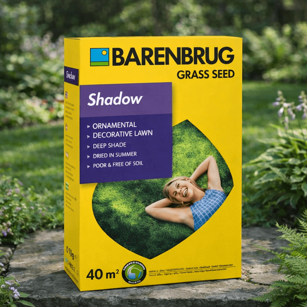 Barenbrug Shadow Skyggegræs   Kg