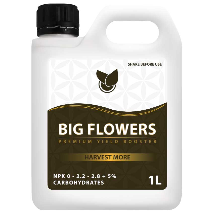 Big Flower Større Og Flere Blomster