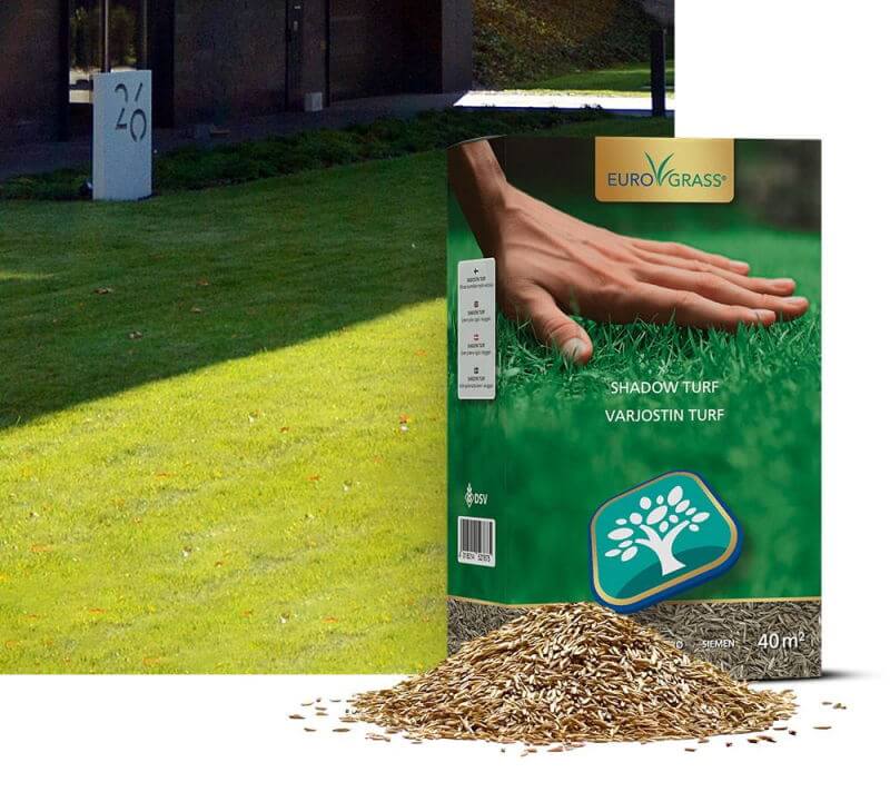 Dsv Shadow Turf Græsfrø    Kg