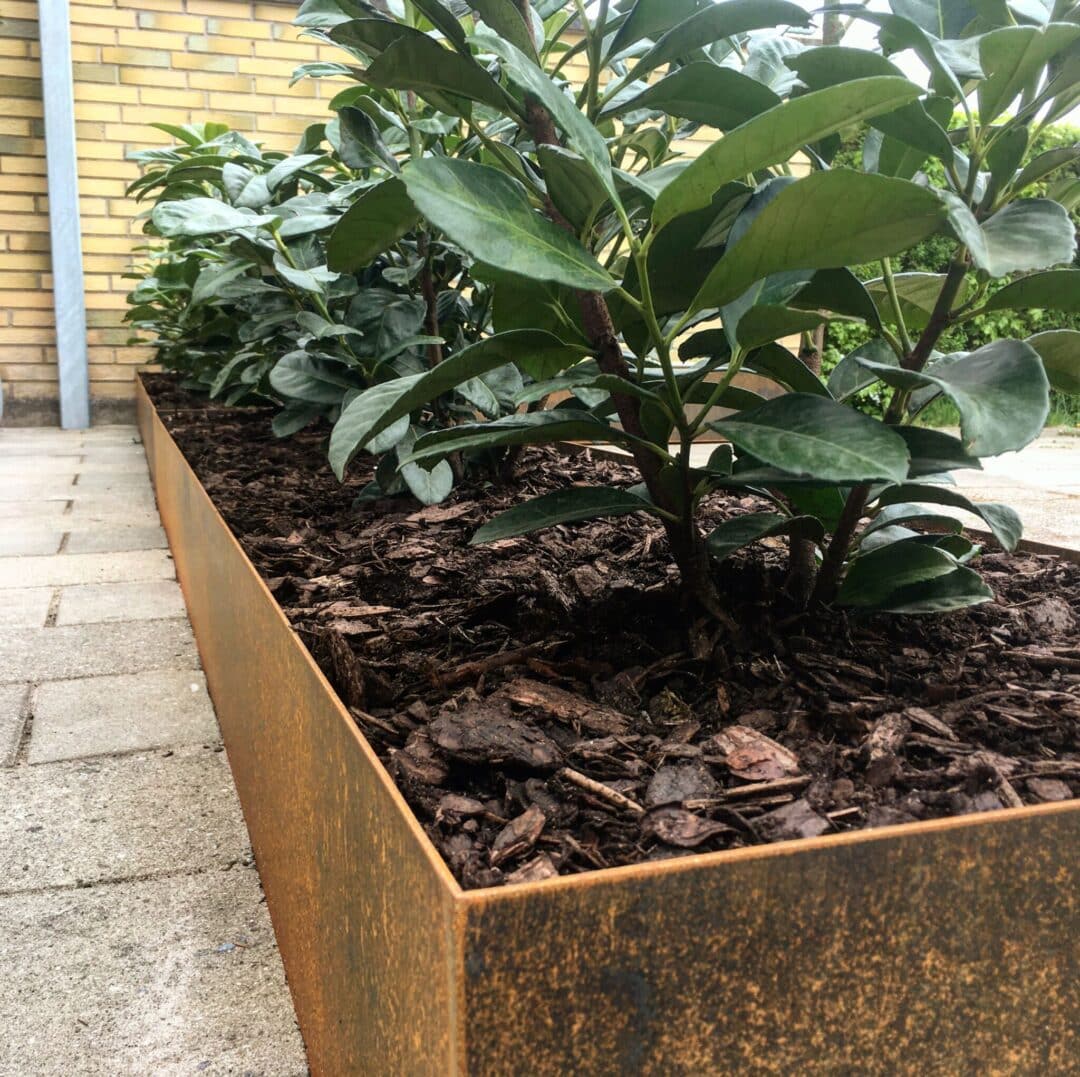 Firkantet Højbed   3mm Cortenstål  Højde 30cm 100   100 Cm