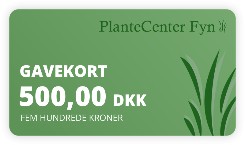 Gavekort Kr  500 -