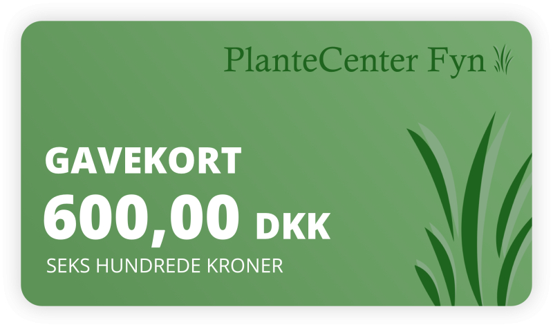 Gavekort Kr  600 -