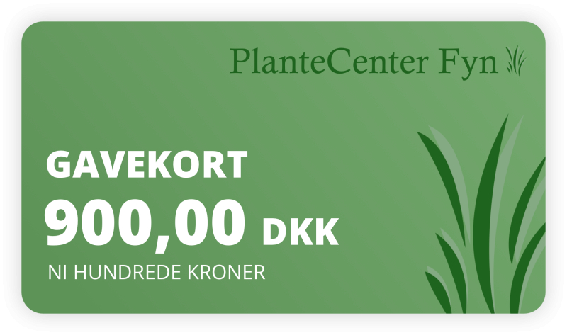 Gavekort Kr  900 -