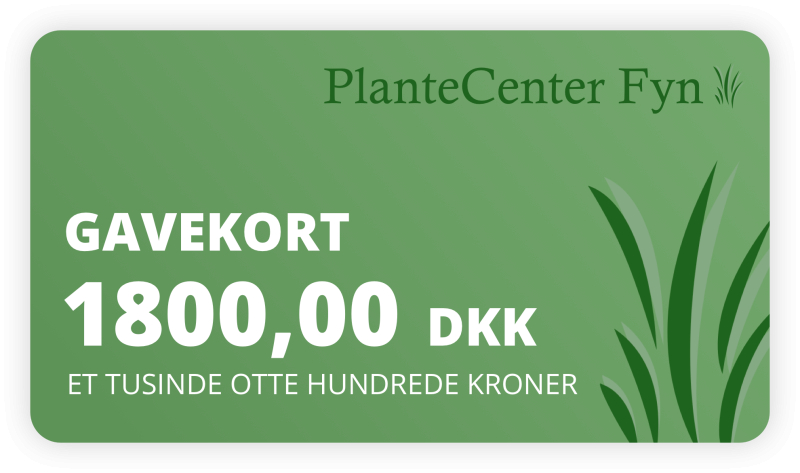 Gavekort Kr  1800 -