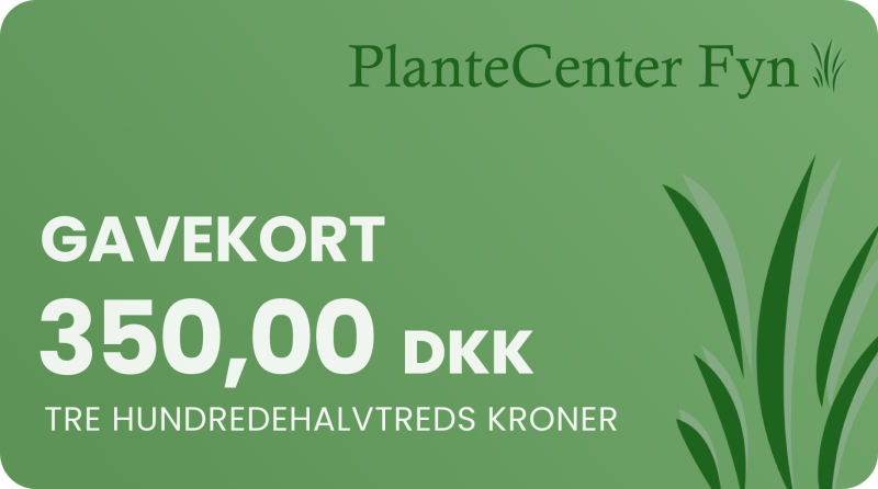 Gavekort Kr  350 -