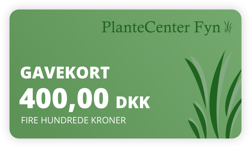 Gavekort Kr  400 -