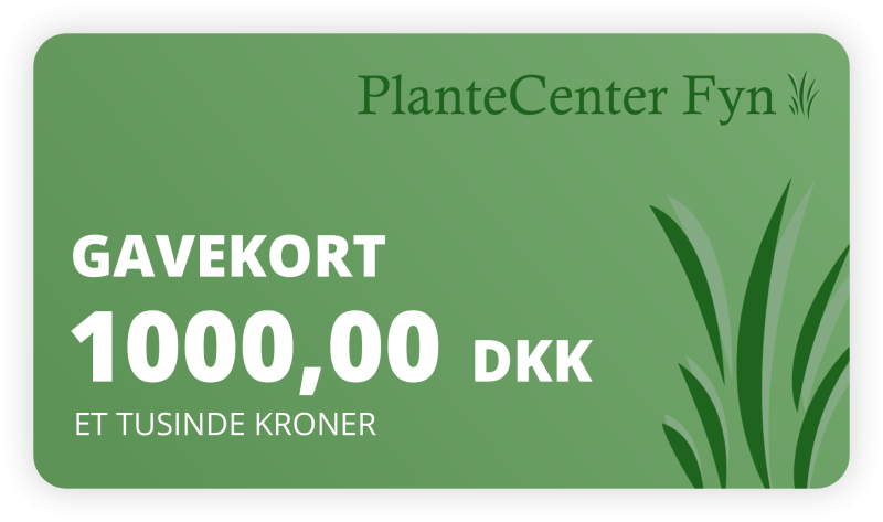 Gavekort Kr  1000 -