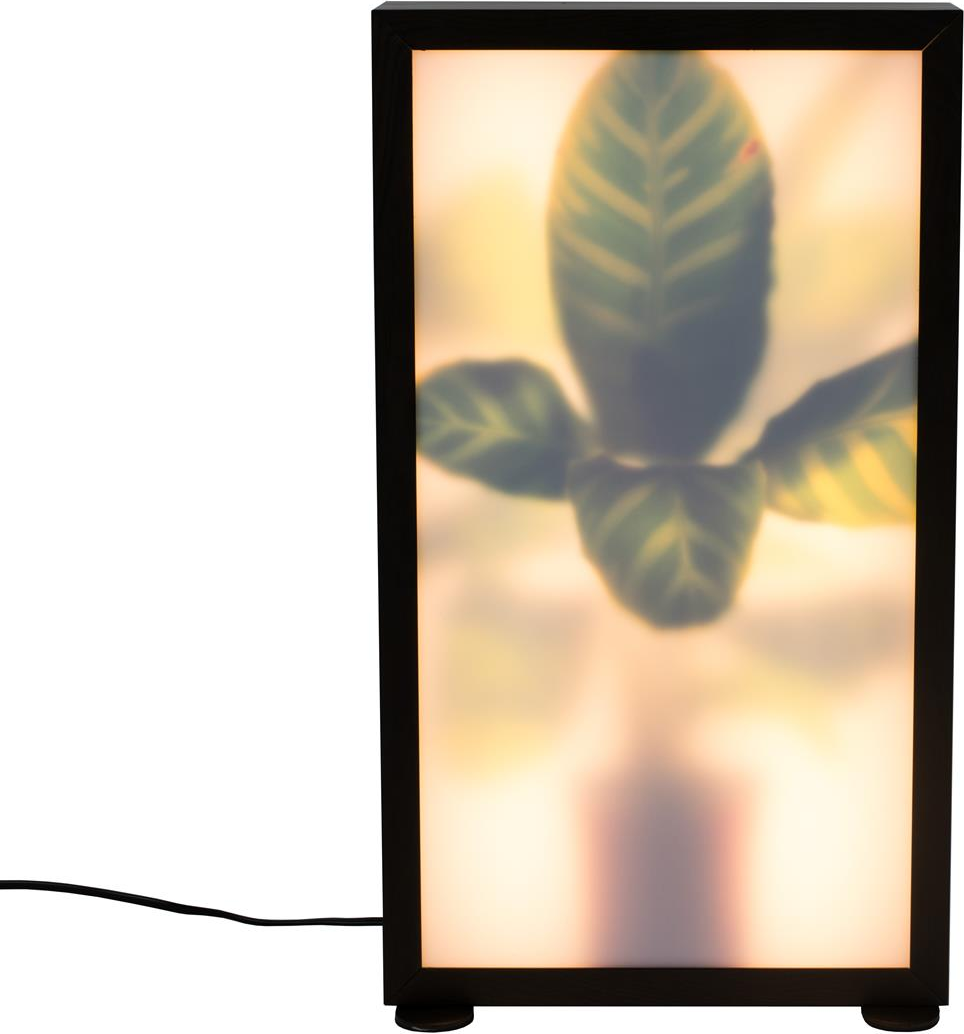 Gulvlampe Zuiver Grow Naturfarvet Akrylglas Aluminium Standerlampe Til Indendørs Brug Med Dæmper 320 Lm 3000