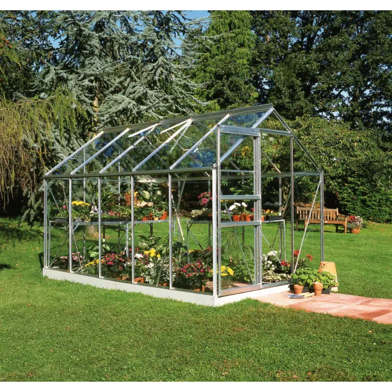 Halls Drivhus Popular 106     Mm Hærdet Glas  F09896