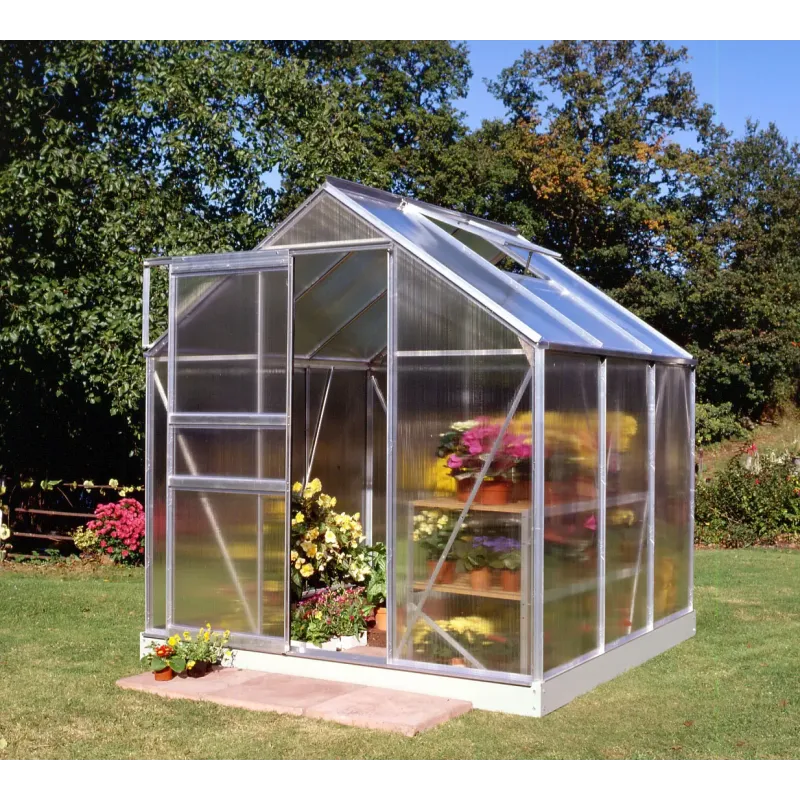 Halls Popular 66 Mm Poly
