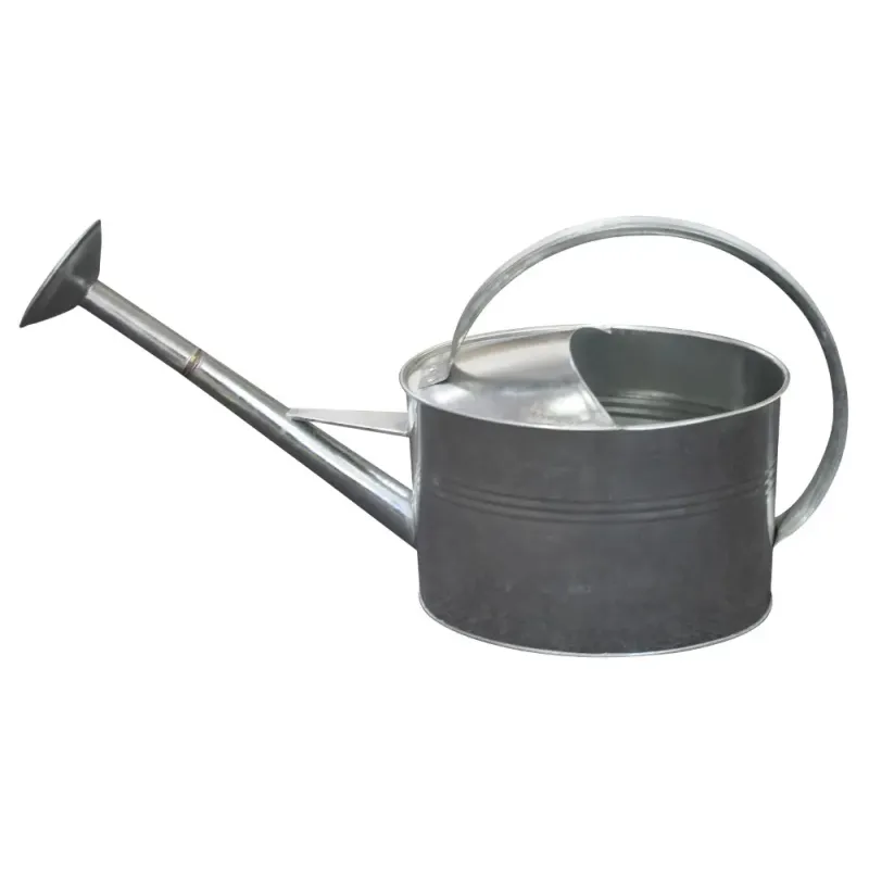 Home It Vandkande Med Spreder Liter Galvaniseret