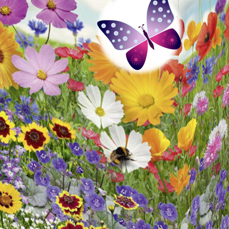 Hurtigt Blomsterflor