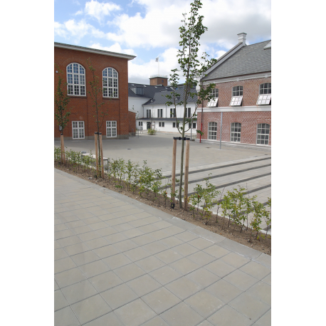 Ibf Fliser 25x25x6 Cm Grå Modul 50