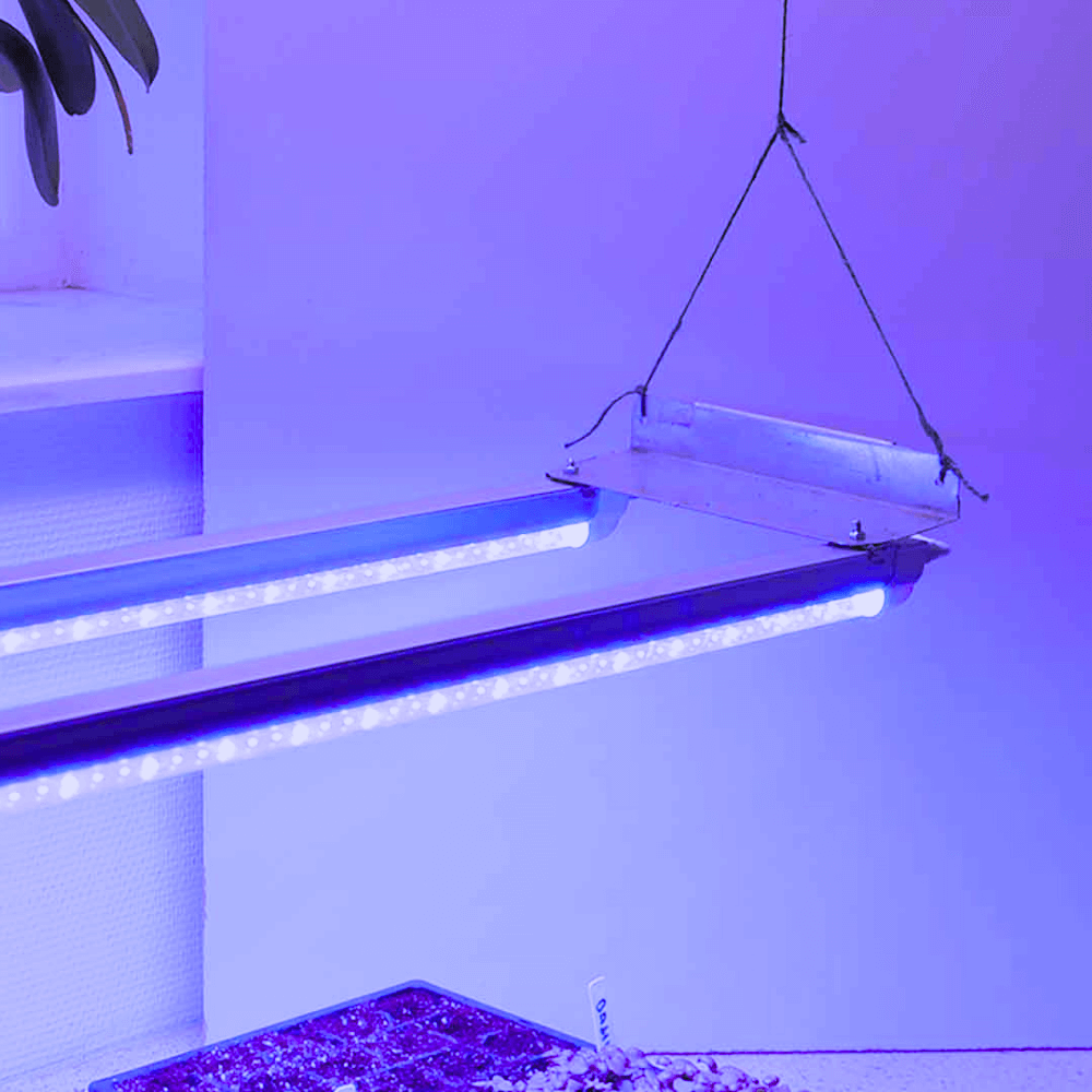 Indendørs Vækstlys Med Led Dobbelt 120 Cm