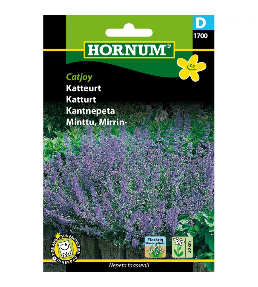 Katteurt Catjoy Frø Kattemynte Hornum