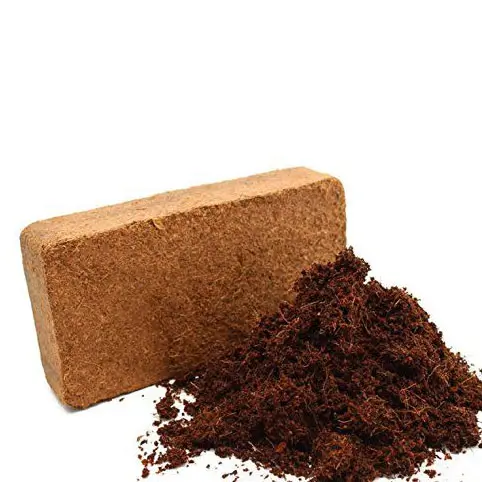 Kokosmuld Plagron Cocos Brix Kokosjord