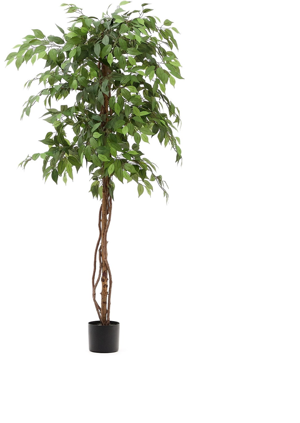 Elegant Kunstig Ficus Benjamina Træ - 180 cm Dekoration