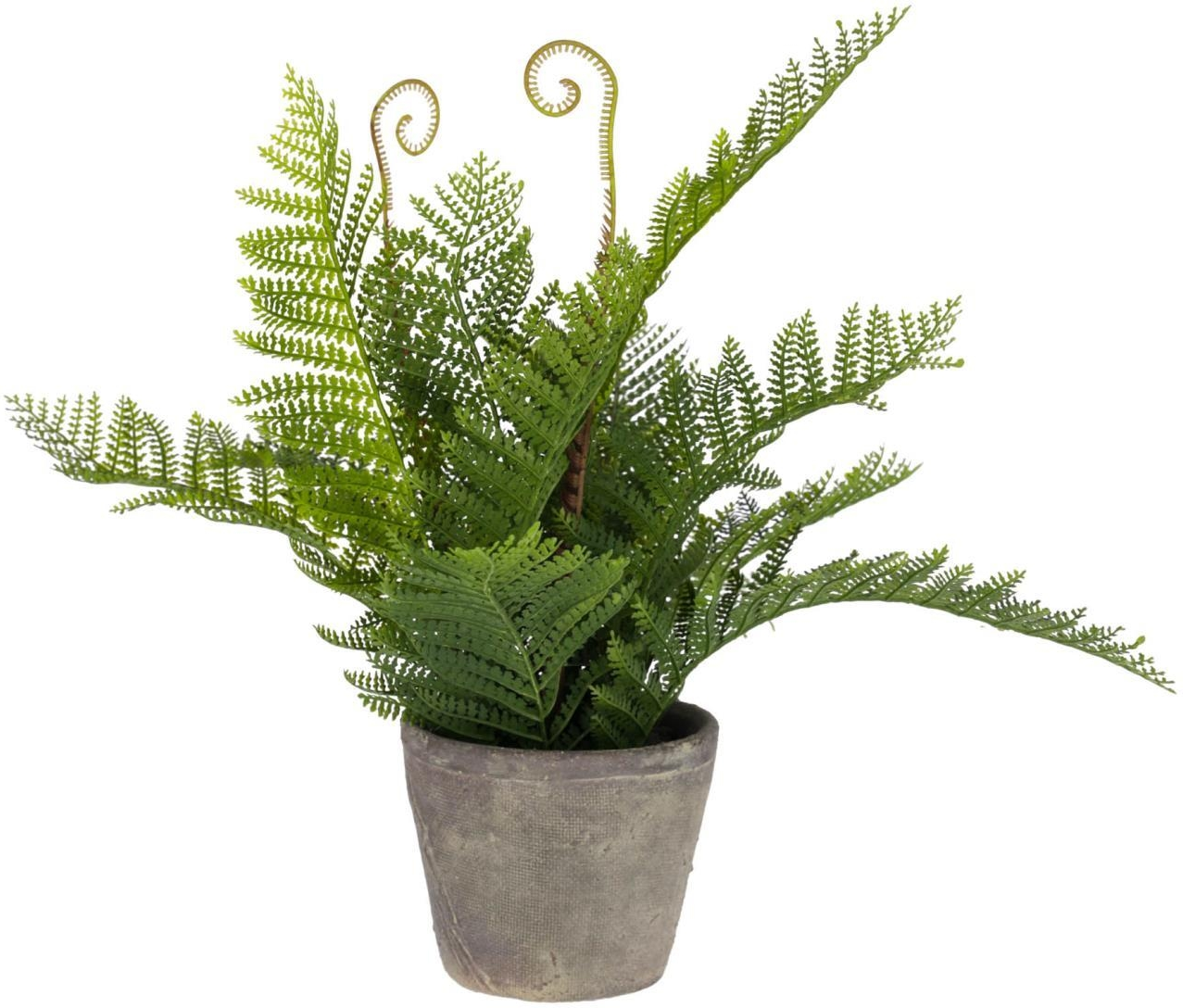 Kunstig Plante Kave Home Filicopsida Grøn Med Rustik Grå Potte H35ã ø40 Cm Indendørs Dekoration