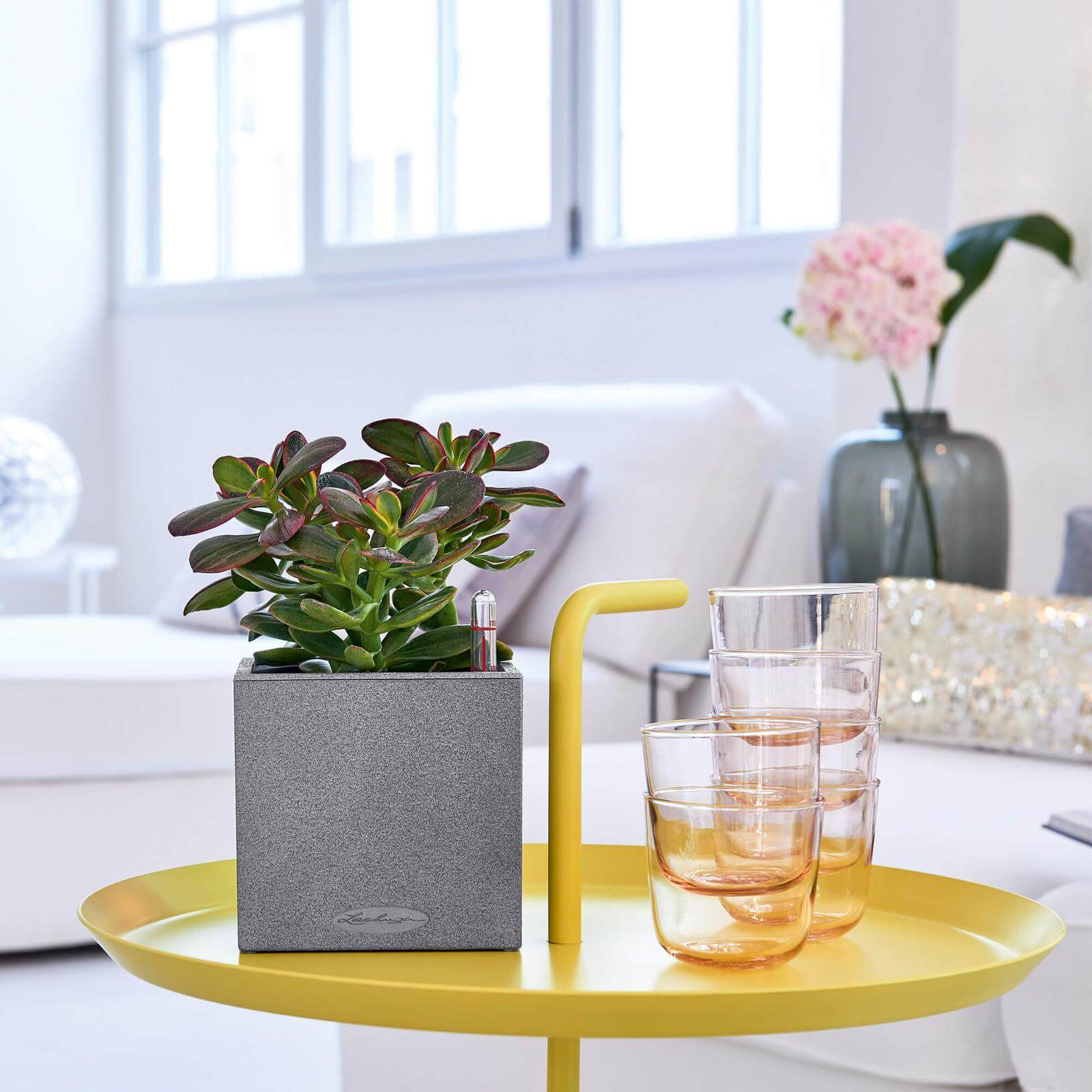 Lechuza Canto Stone 14 Indendørs Krukke Til Blomster Med Selvvandingssystem  Graphite Black