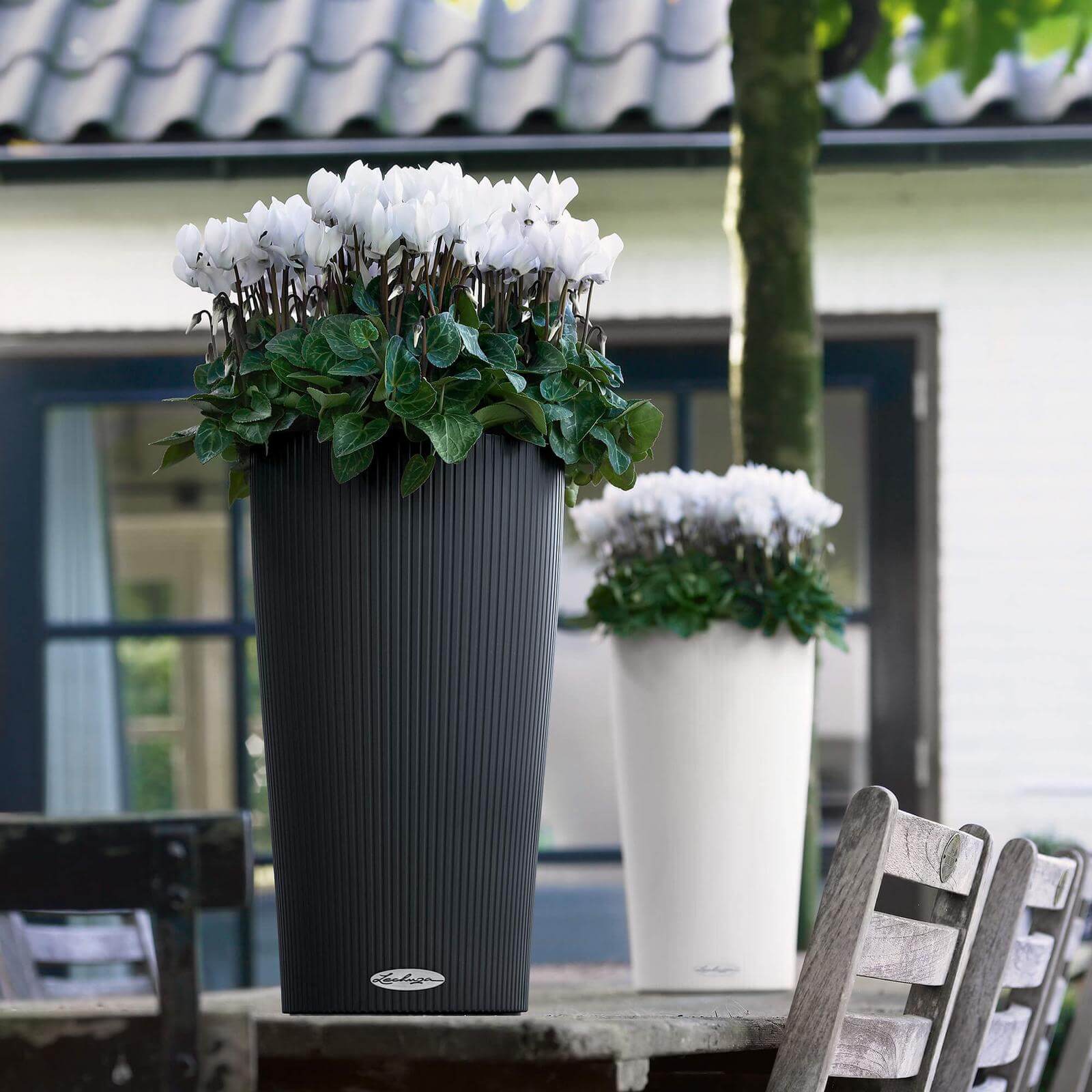 Lechuza Cilindro Color Krukke Til Blomster Med Selvvandingssystem  Hvid ø32   H56 Cm