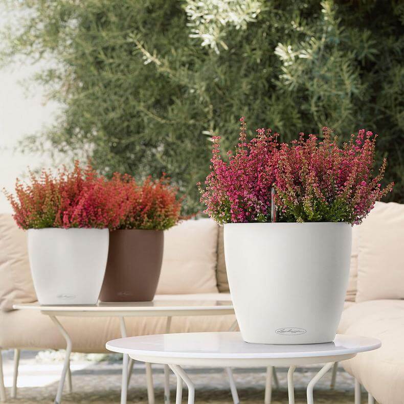 Lechuza Classico Color Krukke Til Blomster Med Selvvandingssystem Hvid ø21 H20 Cm