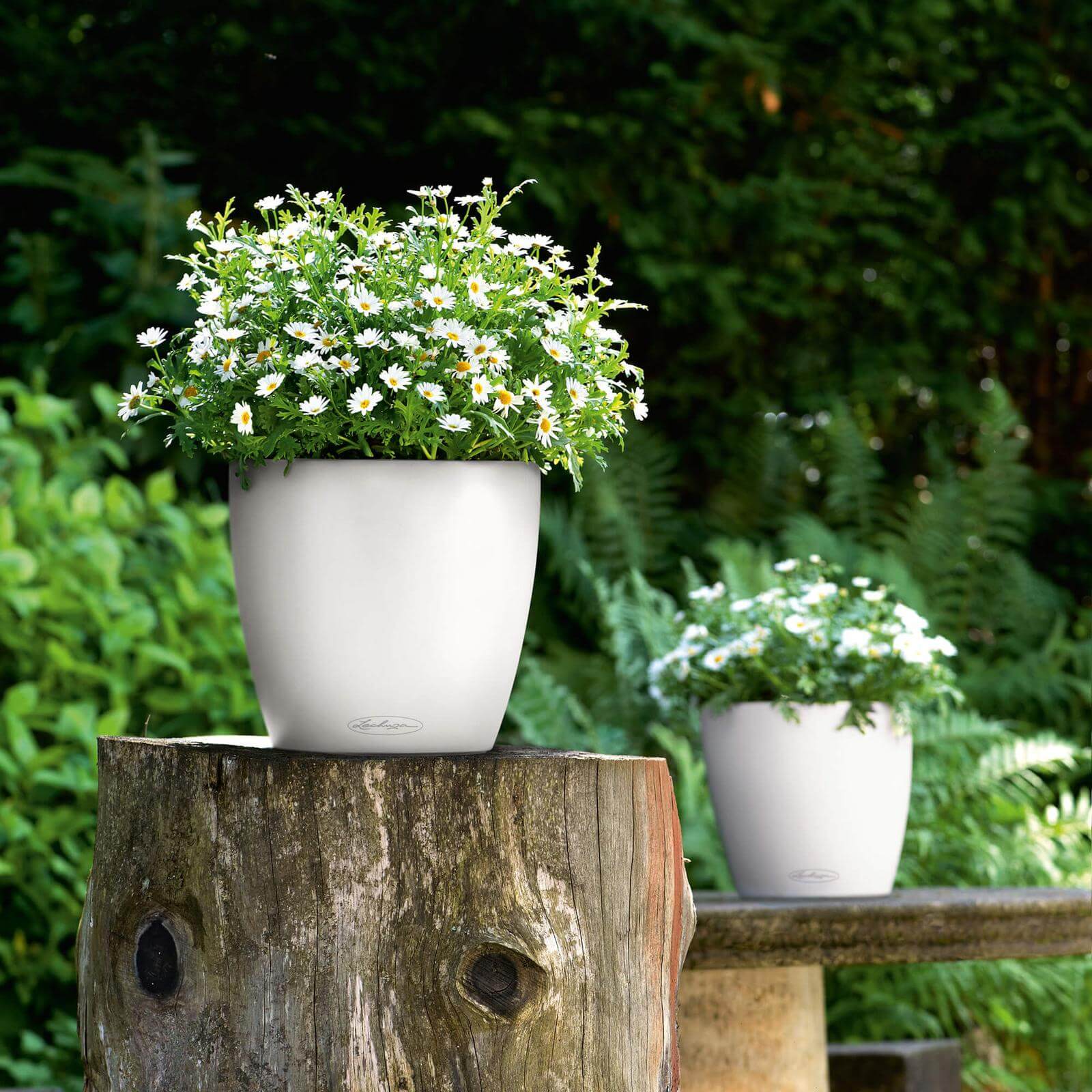 Lechuza Classico Color Krukke Til Blomster Med Selvvandingssystem  Hvid ø28   H26 Cm