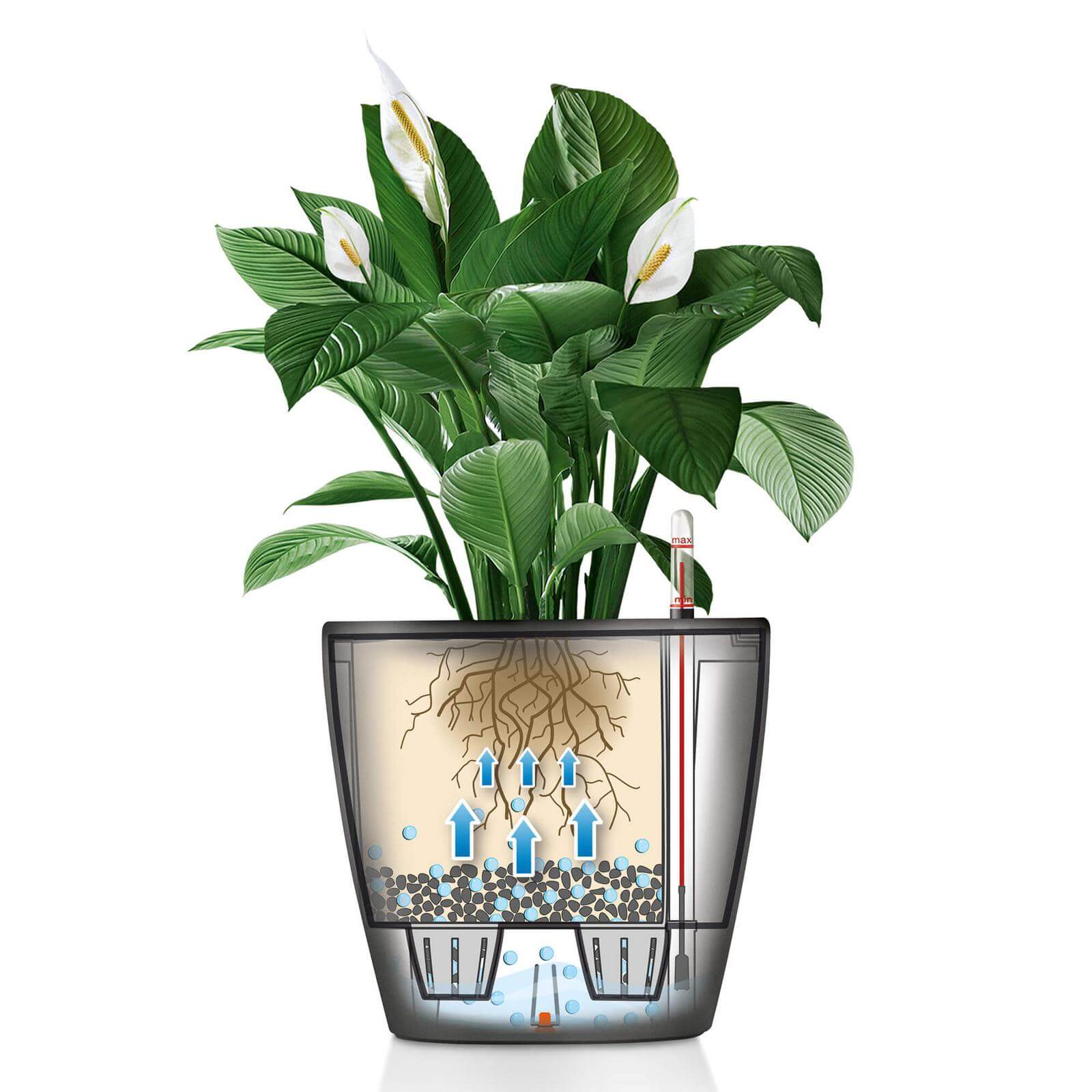 Lechuza Classico Premium Ls Indendørs Krukke Til Blomster Med Selvvandingssystem  Charcoal Metallic ø21   H20 Cm