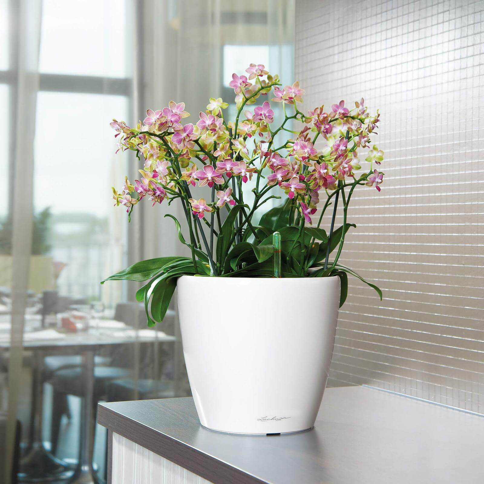 Lechuza Classico Premium Ls Indendørs Krukke Til Blomster Med Selvvandingssystem  Hvid Højglans ø28   H26 Cm