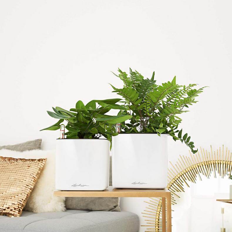 Lechuza Cube Glossy 16 Indendørs Krukke Til Blomster Med Selvvandingssystem  Charcoal Højglans