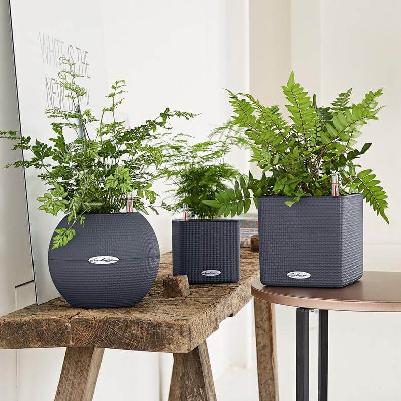 Lechuza  Puro Color 20 Krukke Til Blomster Med Selvvandingssystem  Slate