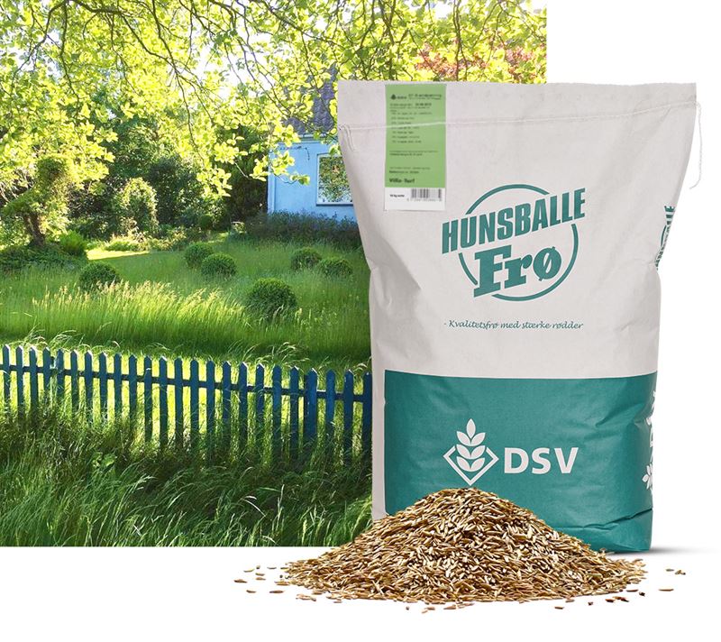 Nøjsom Svingel-blanding  10 Kg