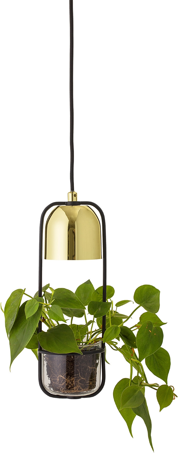 Pendellampe med Planteskål i Guld fra Bloomingville