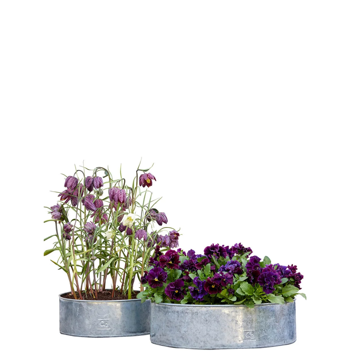 Plantebakke Rund Galvaniseret