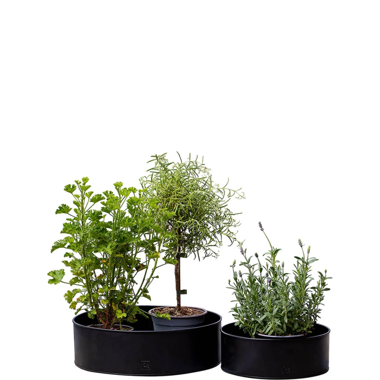 Plantebakke Rund Sort