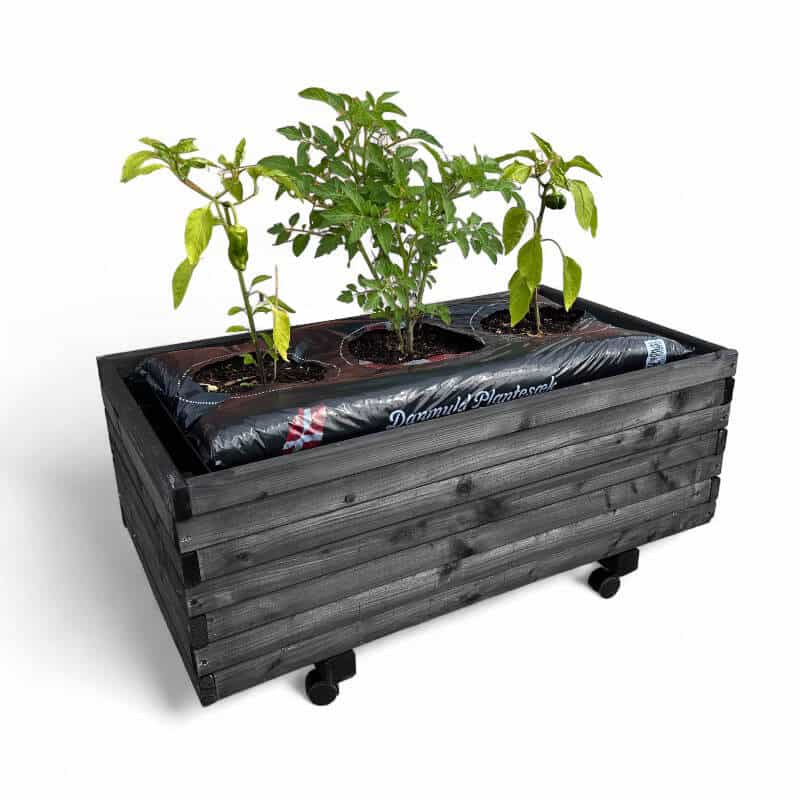 Plantekasse   Kapilærskjuler På Hjul 91   51   36 Cm