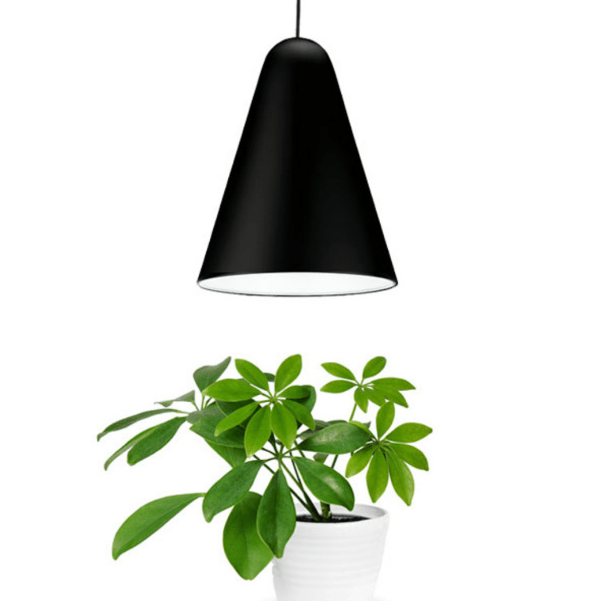 Plantespire Pendel 5000-6500k Hvidt Led Lys