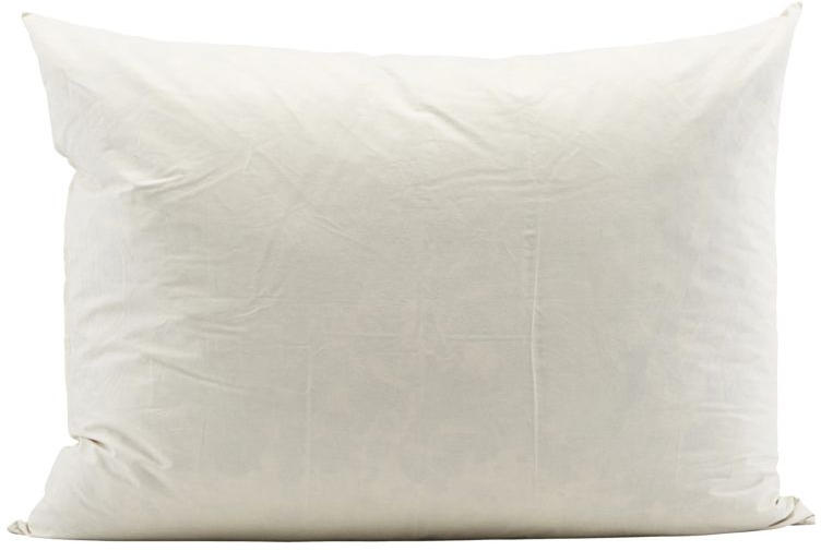 Pudefyld 60x80 cm – Andefjer fra House Doctor