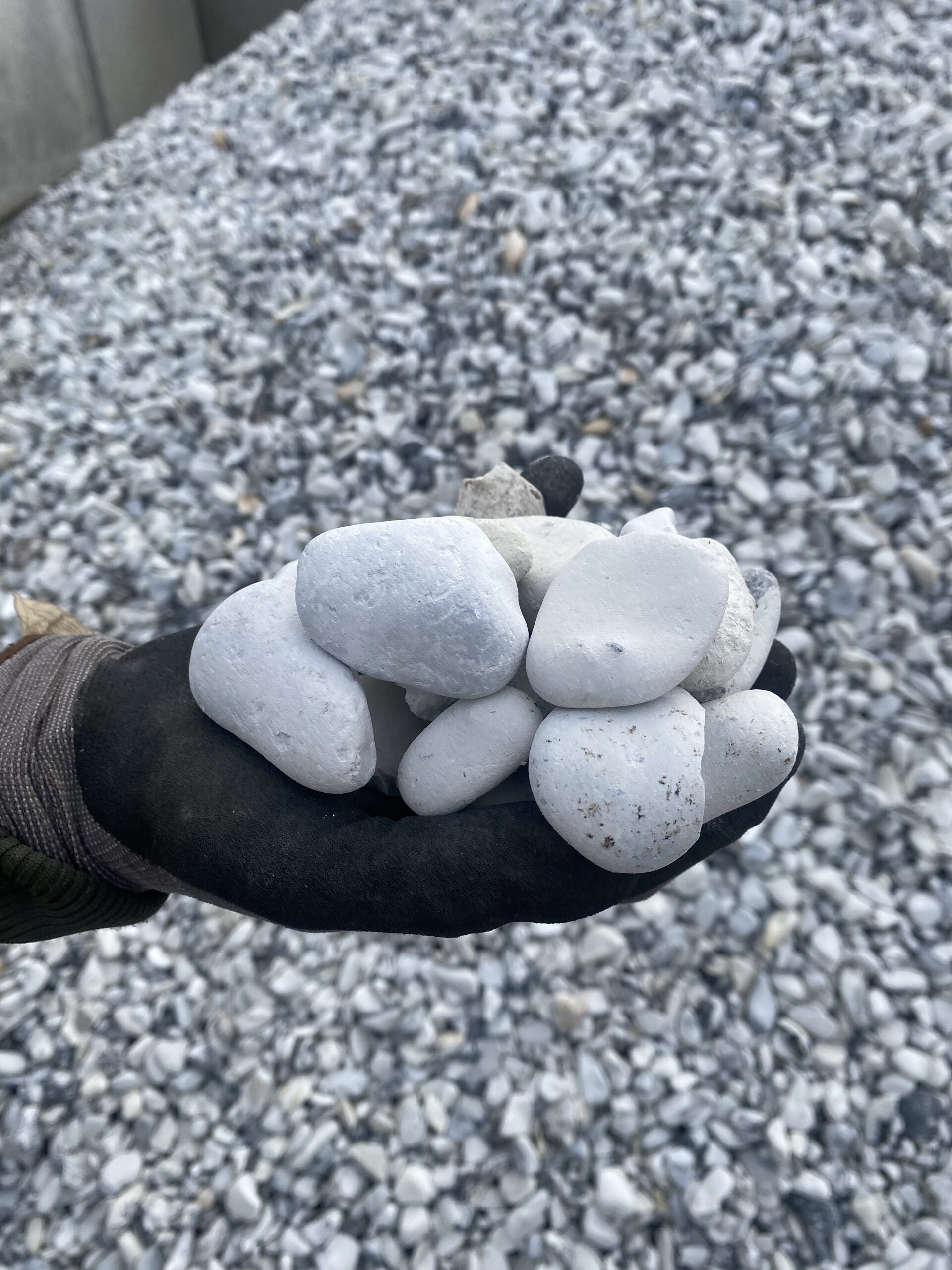Pyntesten Singles Hvid 32 64 Mm Bigbag -frit Leveret   Hele Dk