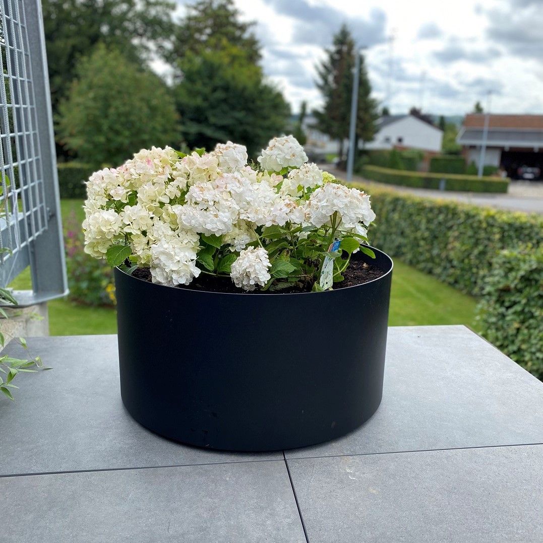 Rundt Højbed På Hjul   3mm Cortenstål Med Bund  ø79cm 30 Cm Sort  Malet