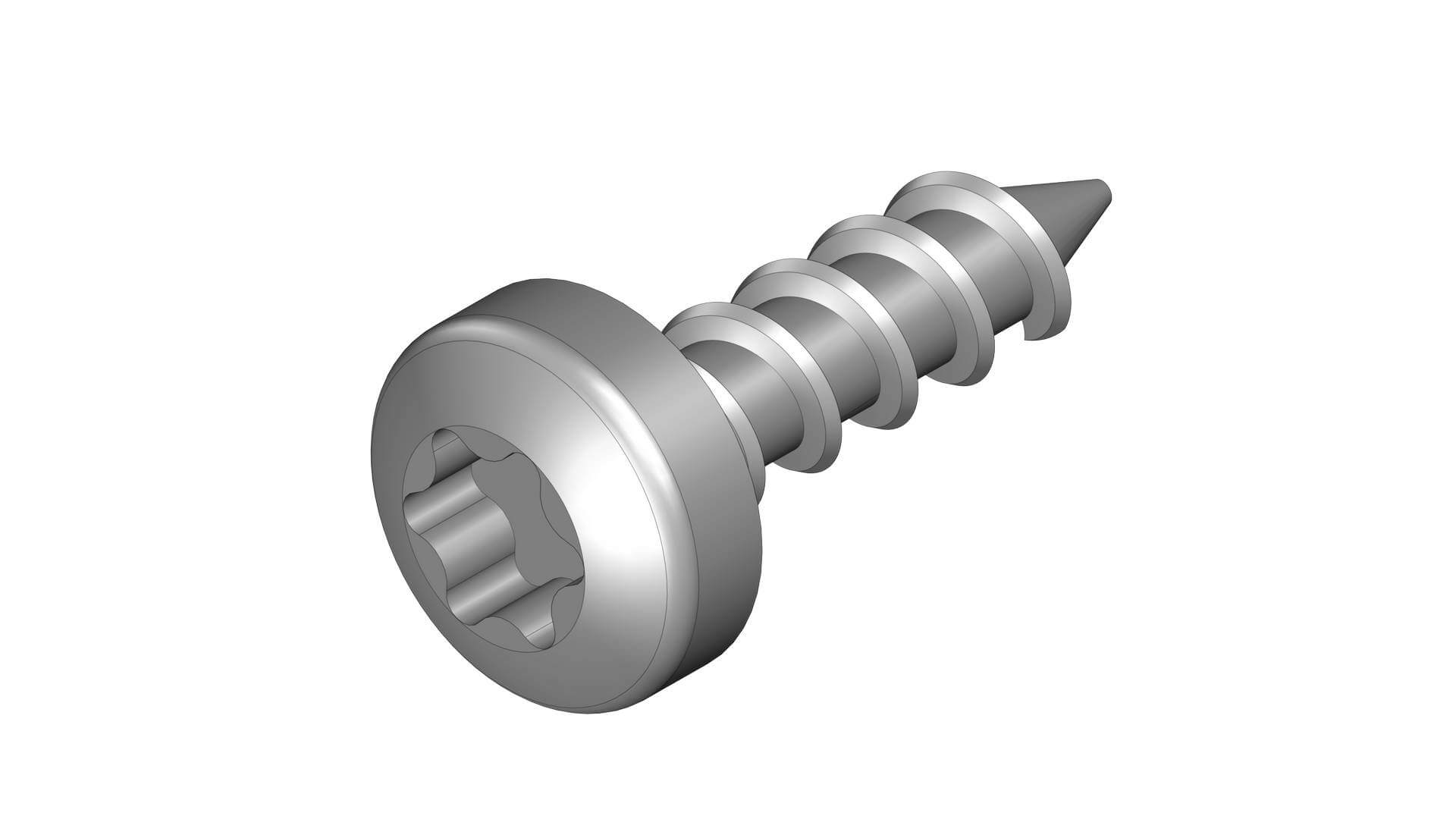 Rustfri Træskrue     20 Mm Torx 25