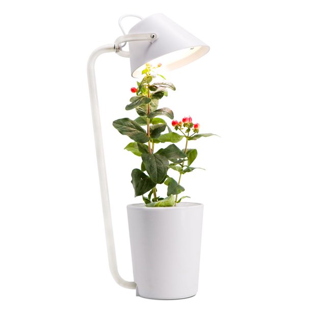Smart Garden Mini Indendørs Køkkenhave