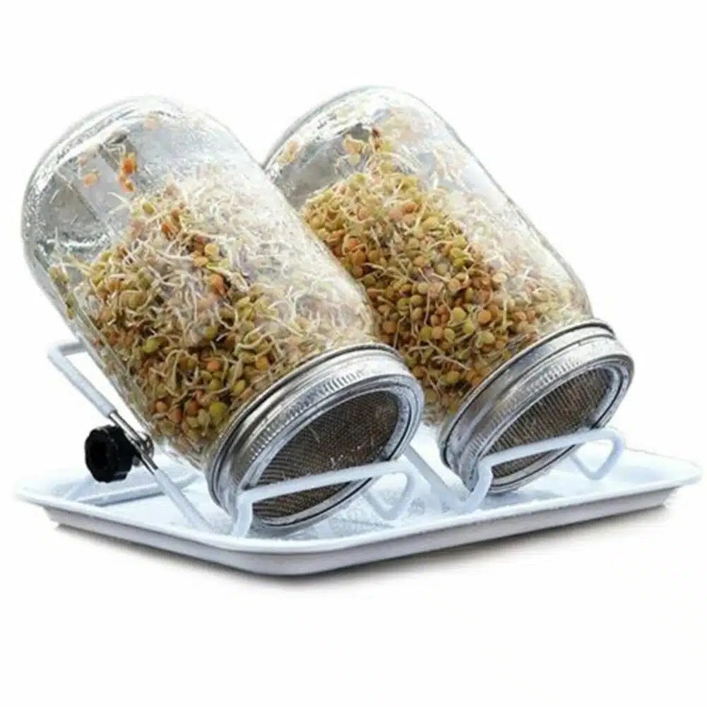 Spireglas       5l Mason    Rustfrit Net  Stativ Og Bakke