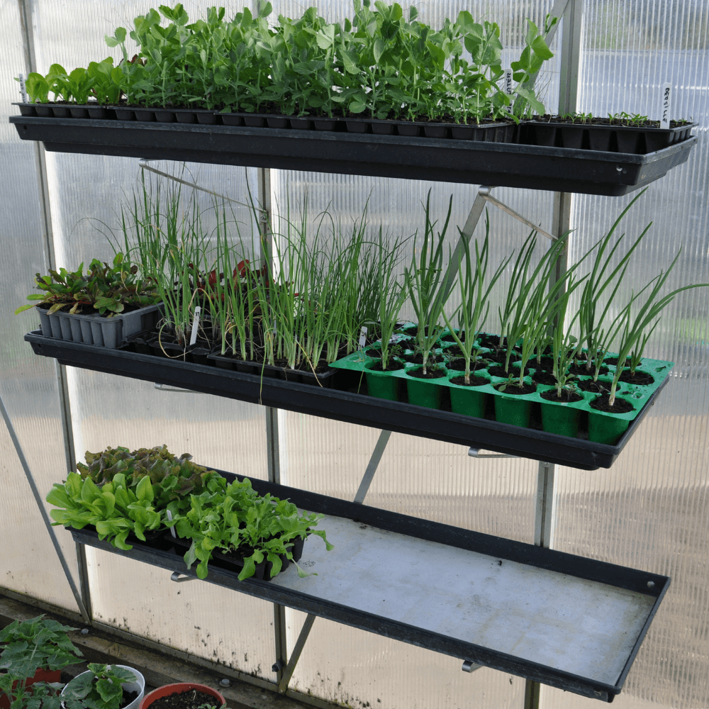 Stor Plantebakke Med Vandingsriller
