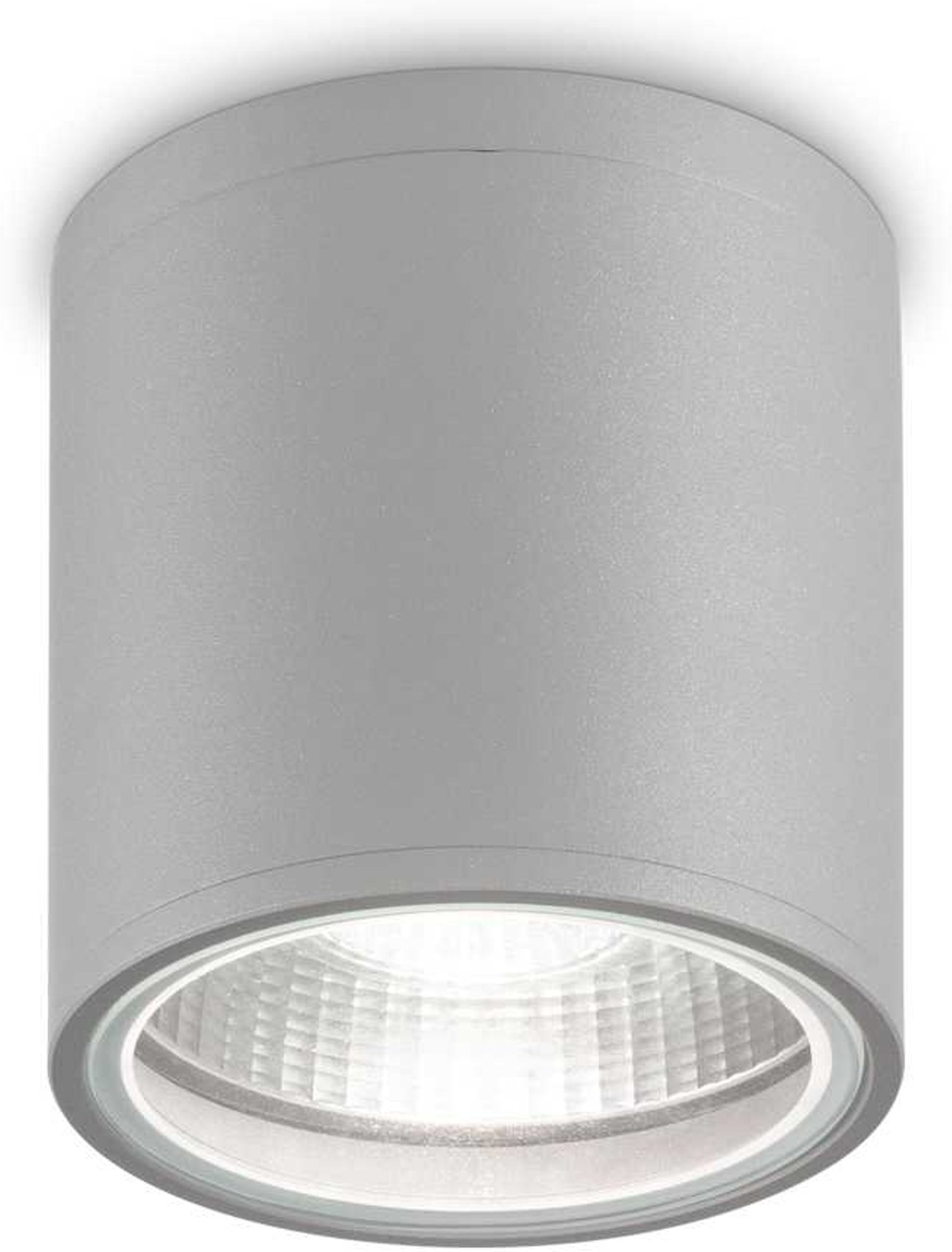 Udendørs Loftlampe i Grå Aluminium - Ideel til Terrassen