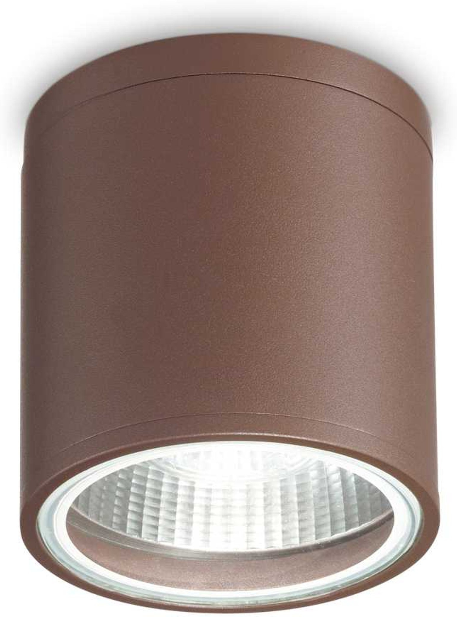 Elegant Udendørs Loftslampe i Aluminium fra Ideal Lux