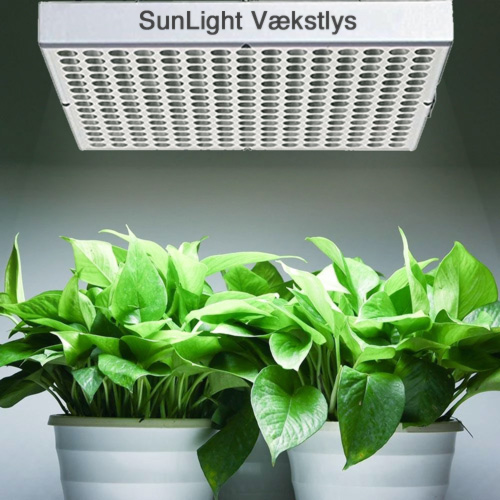 Vækstlys Led Pendel 60  Fuldspektrum Hvidt Lys Sl250w